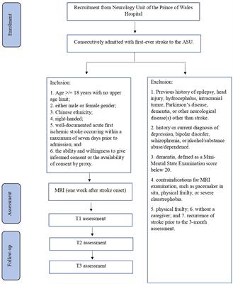 Behavioral disinhibition in stroke